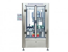 GDP-12全自動等液位灌裝機